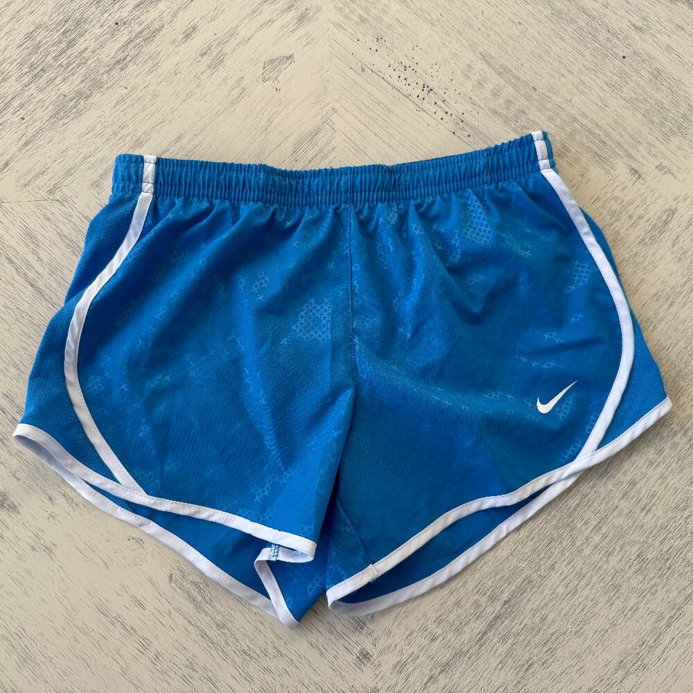 Nike Blue Shorts